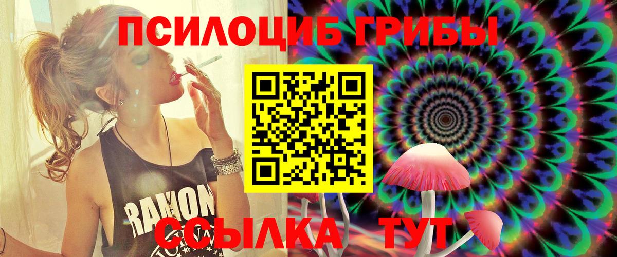 Галлюциногенные грибы прущие грибы  Вход с VPN  Рубцовск 