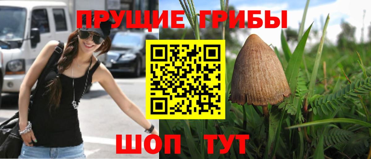 Псилоцибиновые грибы Psilocybine cubensis Рубцовск